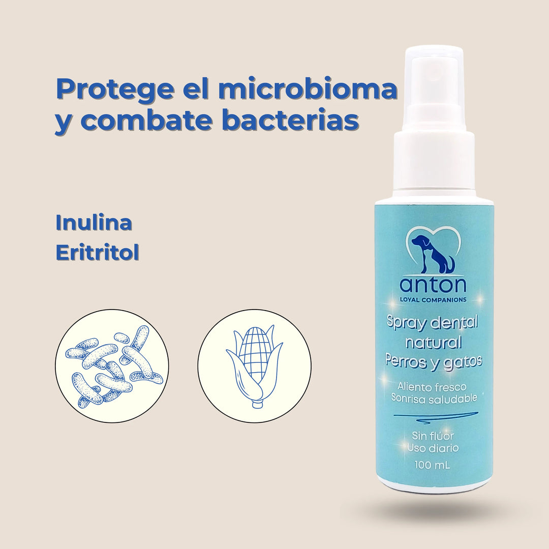 Ingredientes activos del spray dental con inulina y eritritol para higiene oral
