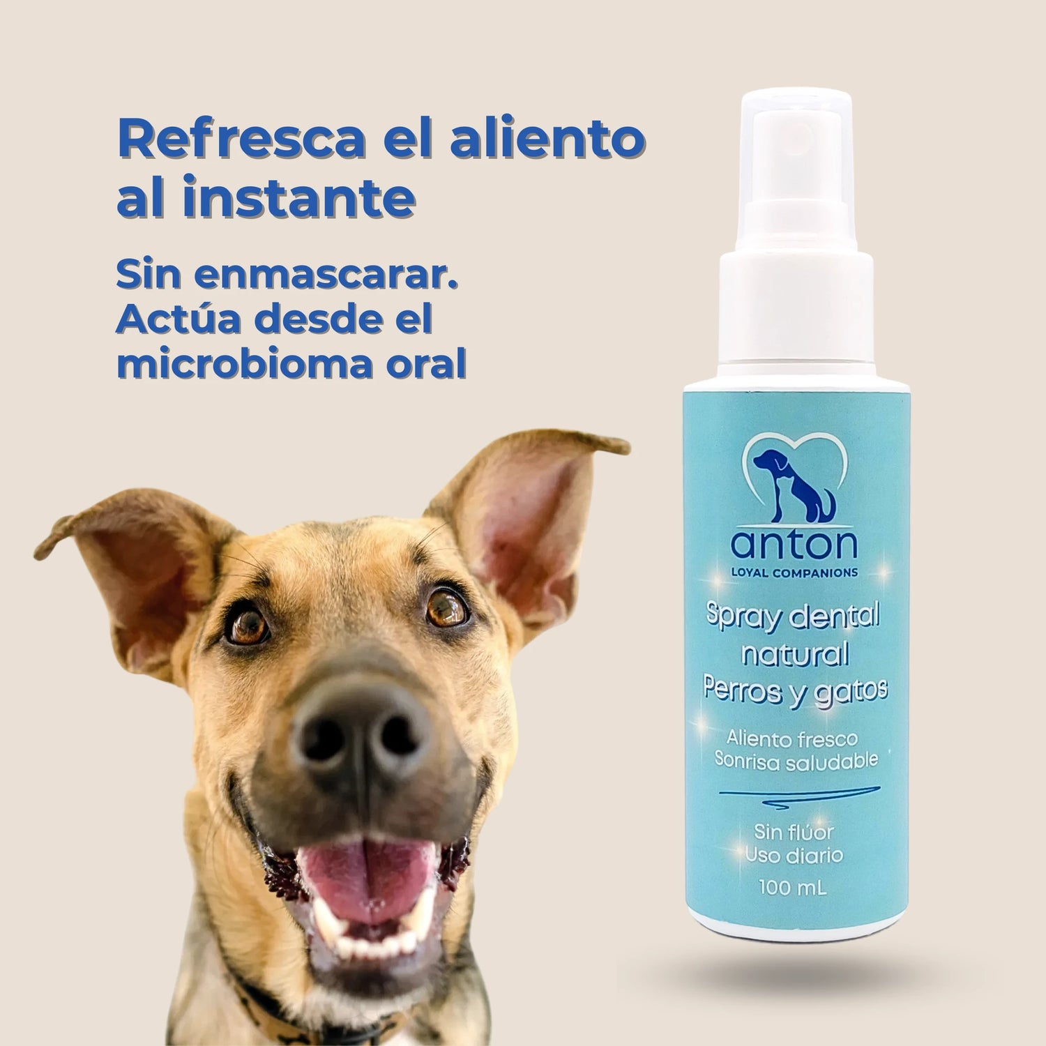 Perro mostrando sonrisa mientras se aplica spray dental natural ANTON Loyal Companions  para microbioma oral sano