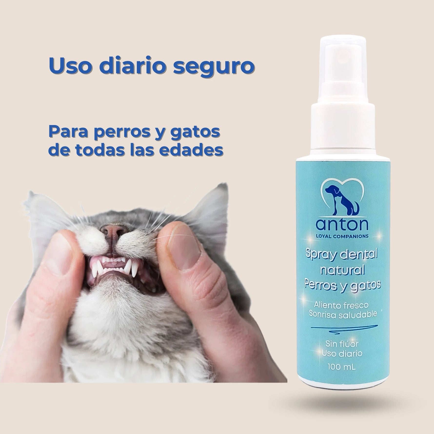 Gato mostrando dientes sanos tras aplicación diario del spray dental natural ANTON Loyal Companions
