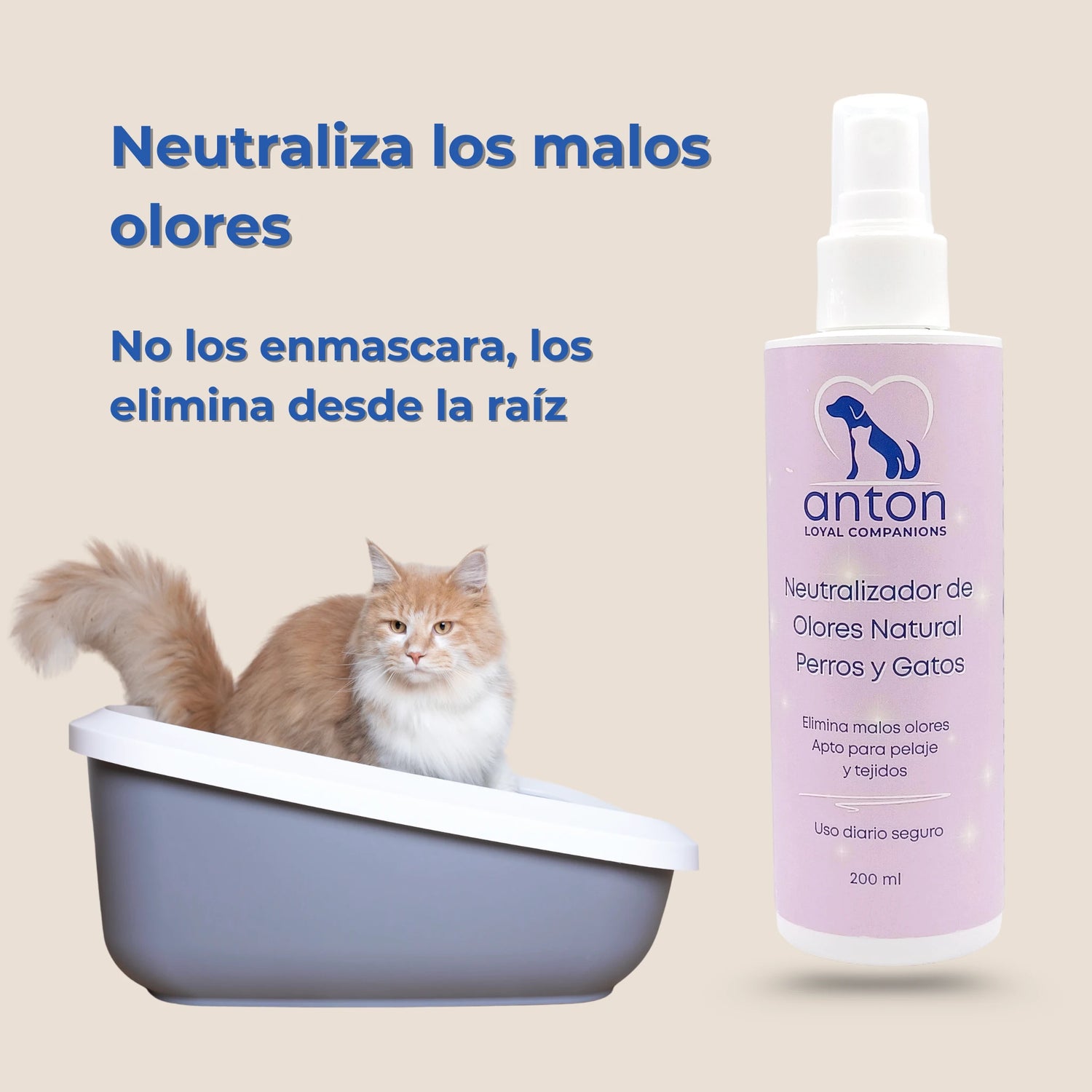 Gato en arenero junto al spray neutralizador de olores natural ANTON Loyal Companions para perros y gatos