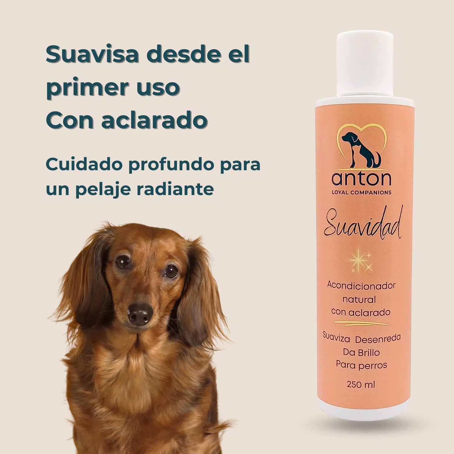 Perro salchicha junto al acondicionador natural ANTON Suavidad, suaviza desde el primer uso y cuida el pelaje.