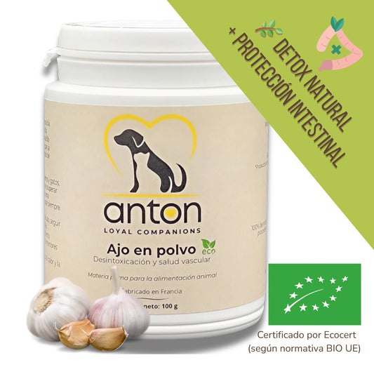 Presentación elegante del ajo en polvo ecológico ANTON para perros y gatos, con dientes de ajo frescos destacados visualmente. Ideal para apoyar la desintoxicación del organismo, fortalecer el sistema inmunitario y cuidar la salud cardiovascular de forma natural. Producto certificado BIO, fabricado en Francia, 100 % natural y seguro para animales.