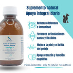 Beneficios aceite de sardina y anchoa salvaje – defensas, articulaciones, piel, corazón y cerebro