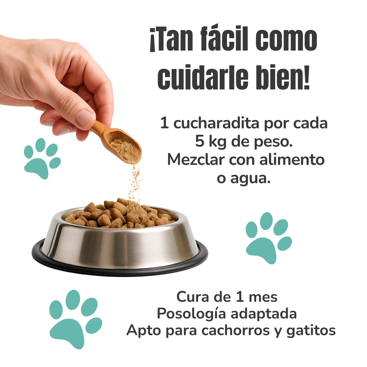 Administración suplemento flora intestinal – polvo sobre comida con posología adaptada