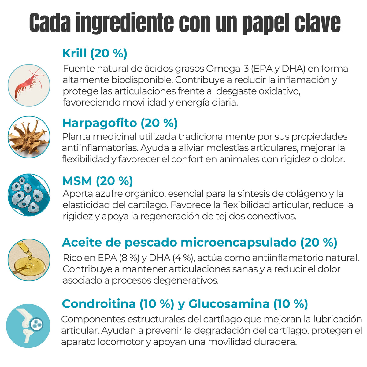 Ingredientes suplemento articular – krill, harpagofito, MSM, aceite de pescado, condroitina y glucosamina