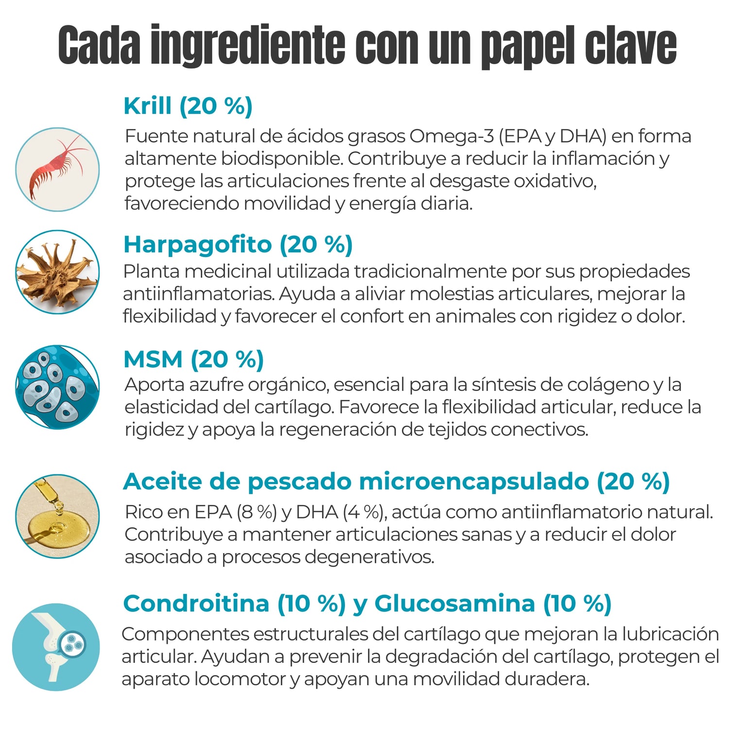 Ingredientes suplemento articular – krill, harpagofito, MSM, aceite de pescado, condroitina y glucosamina