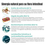 Ingredientes naturales suplemento flora intestinal – inulina, hígado de pollo, levadura, probióticos, prebióticos y postbióticos