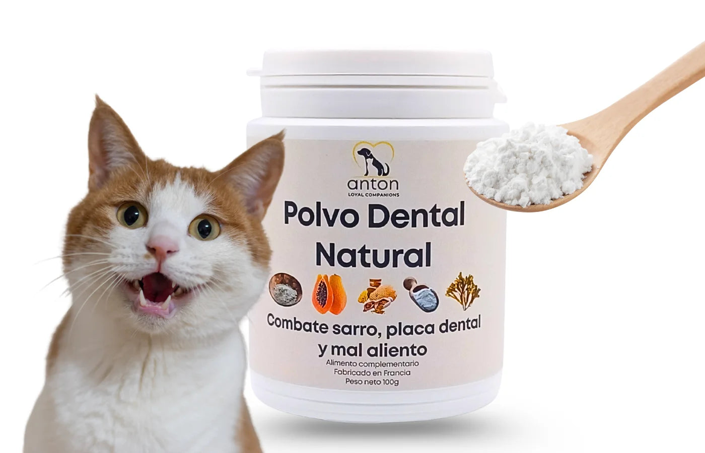 Gato junto al suplemento natural ANTON Polvo Dental Natural, con ingredientes marinos y vegetales. Ayuda a reducir el sarro, la placa dental y el mal aliento en perros y gatos de forma segura y natural.