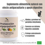 Suplemento natural ecológico ANTON Loyal Companions para perros y gatos con efecto antiparasitario y apoyo digestivo. Ayuda a eliminar y prevenir parásitos intestinales, favorece un sistema digestivo saludable y protege el organismo de forma ecológica.