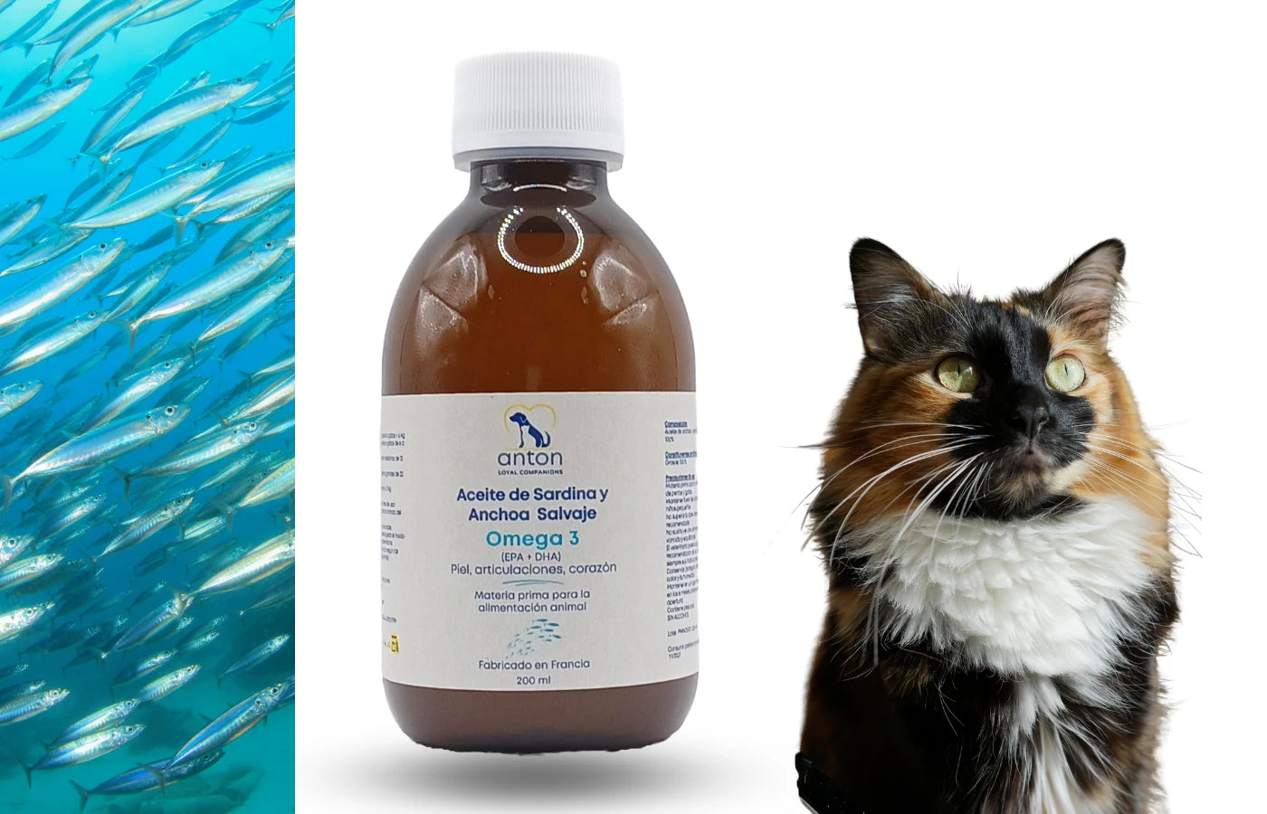 Botella aceite de sardina y anchoa salvaje Omega-3 junto a un gato – suplemento natural para piel, articulaciones y corazón