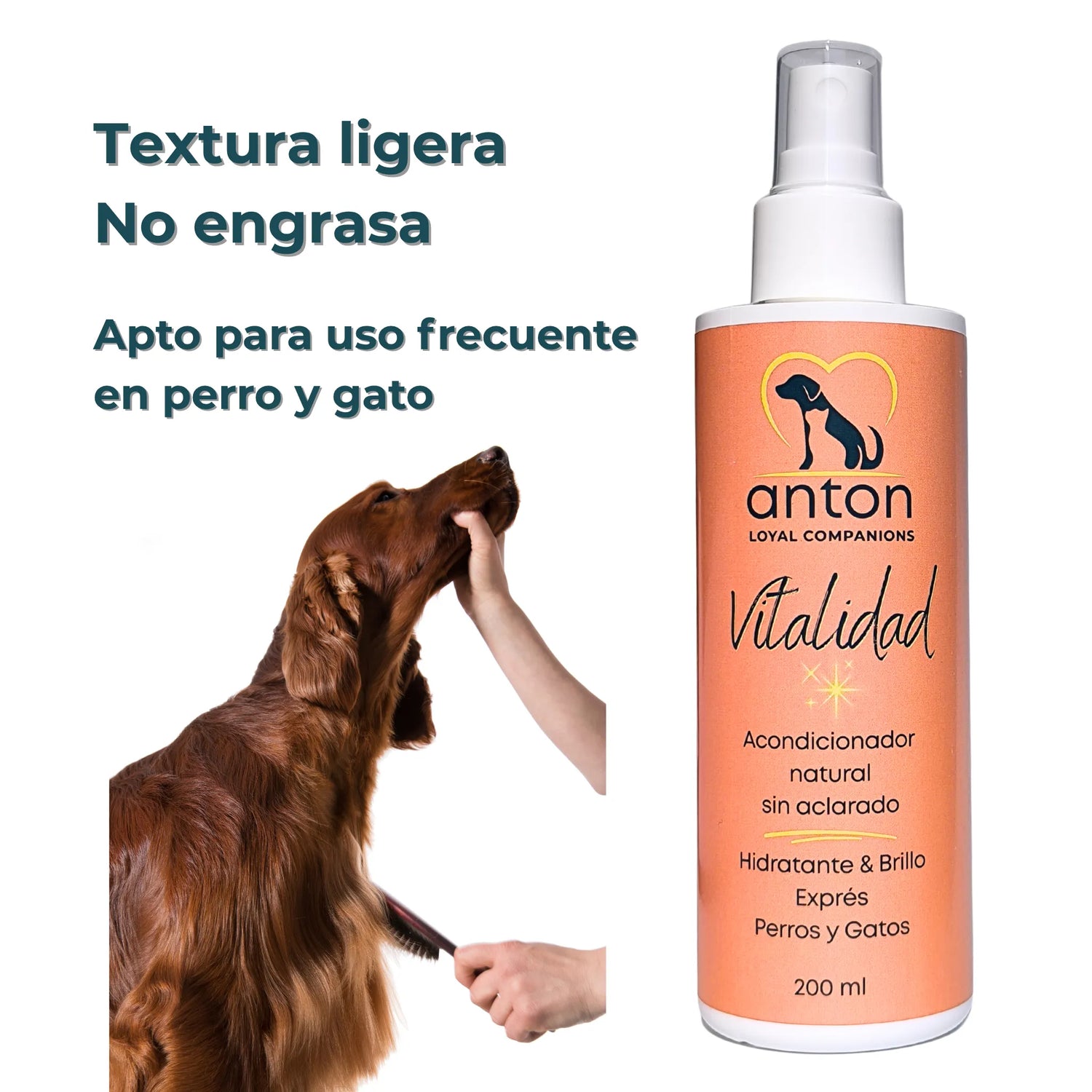 Cepillado de un perro de pelo largo con el acondicionador “Vitalidad” de ANTON sin aclarado