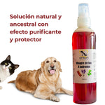 Vinagre de los 4 Ladrones para Perros y Gatos – 250ml_Anton Loyal Companions