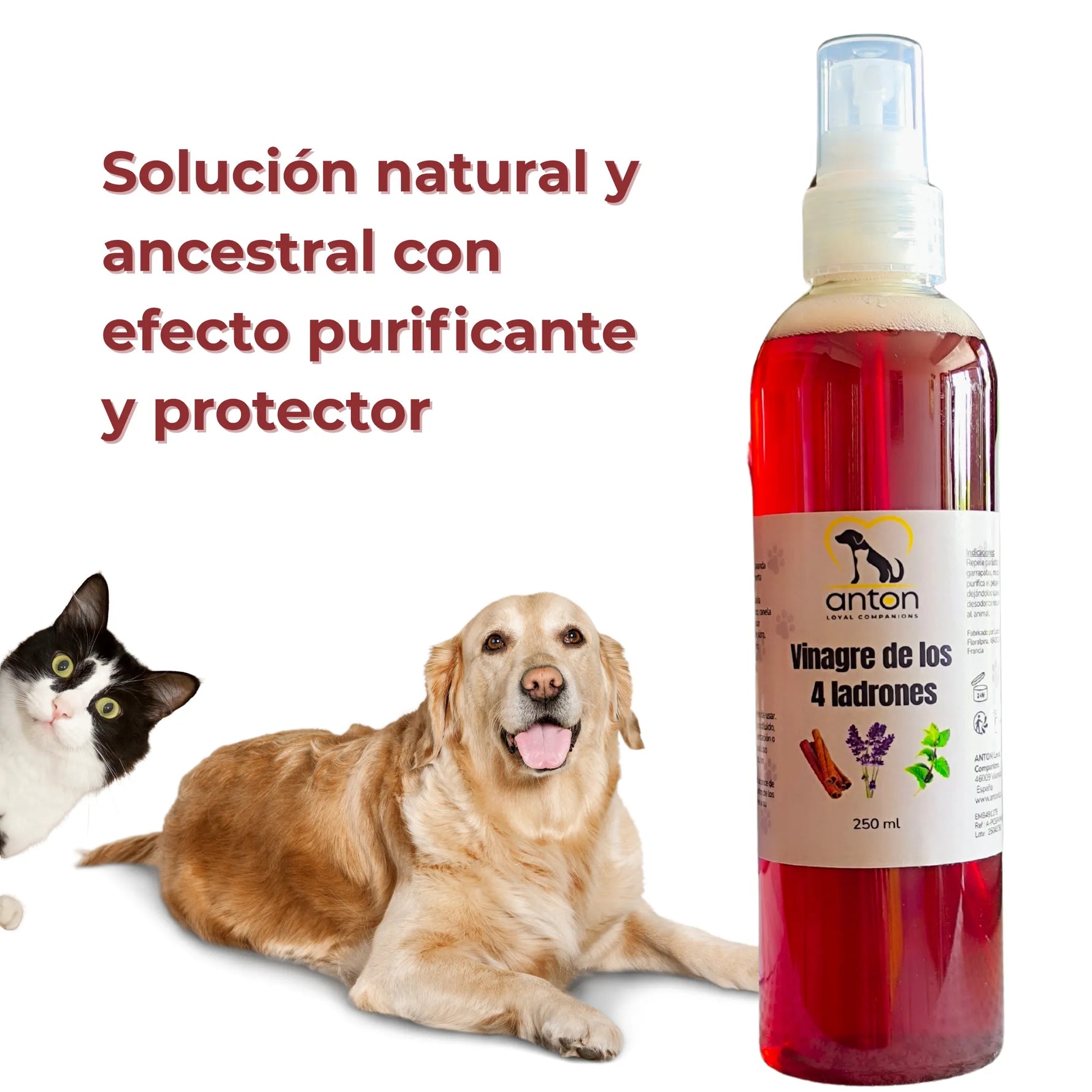 Vinagre de los 4 Ladrones para Perros y Gatos – 250ml_Anton Loyal Companions