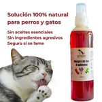 Vinagre de los 4 Ladrones para Perros y Gatos – 250ml_Anton Loyal Companions