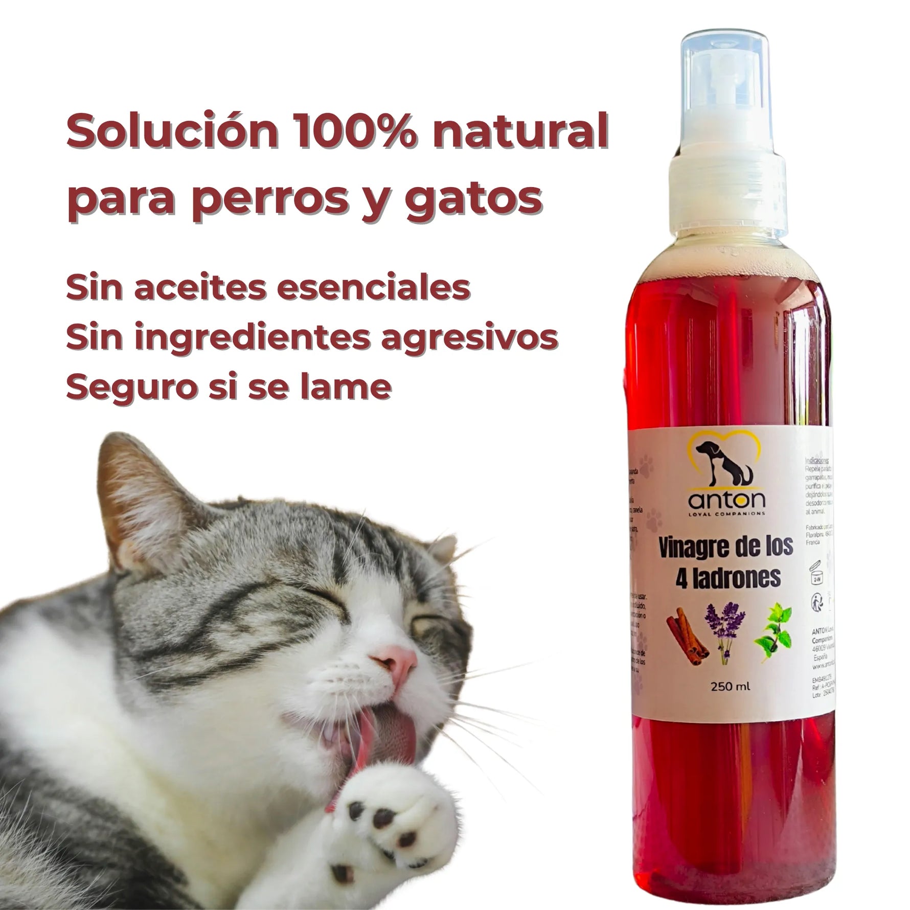 Vinagre de los 4 Ladrones para Perros y Gatos – 250ml_Anton Loyal Companions