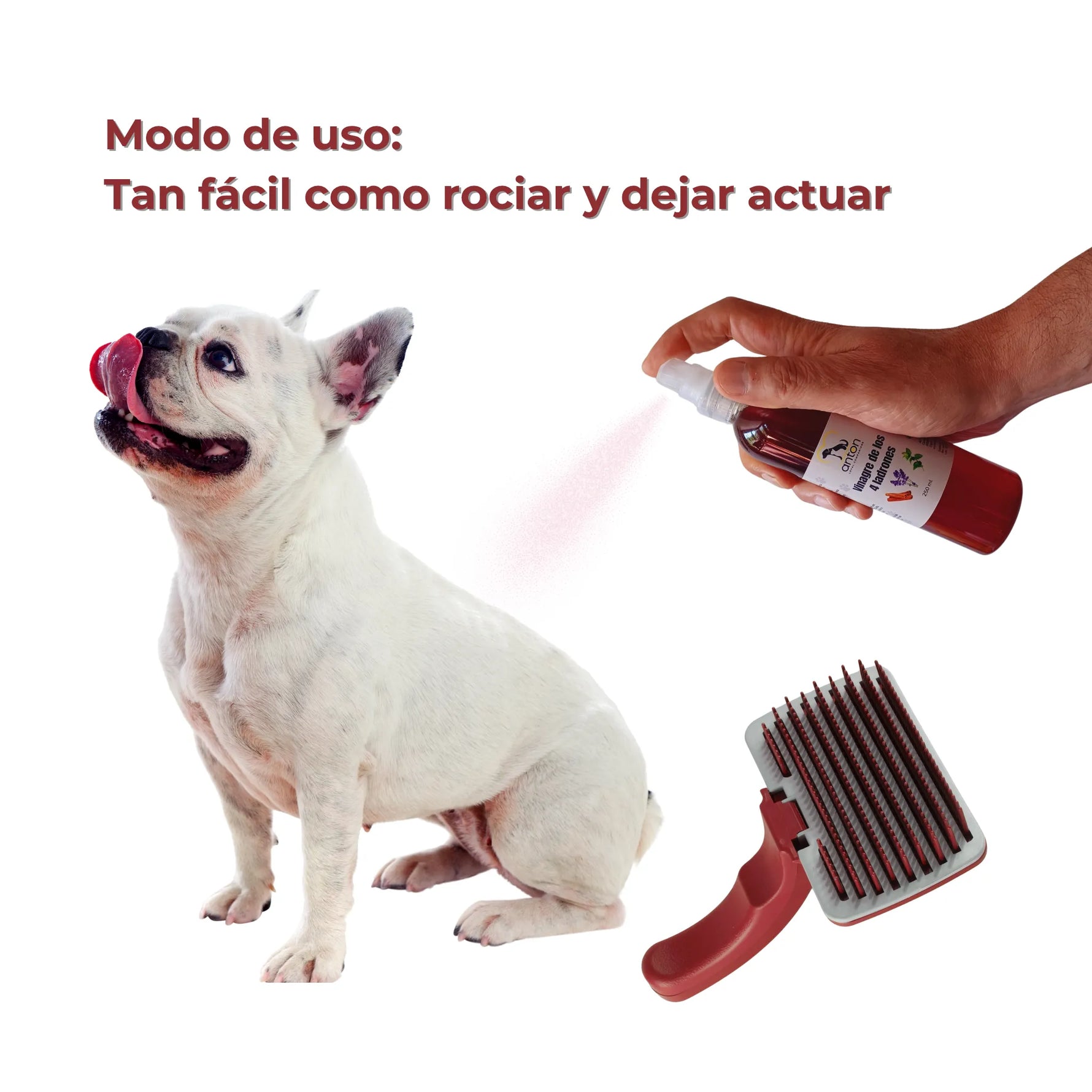 Vinagre de los 4 Ladrones para Perros y Gatos – 250ml_Anton Loyal Companions