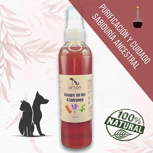 Botella de vinagre de los 4 ladrones ANTON para perros y gatos - cuidado purificante 100% natural con aceites esenciales