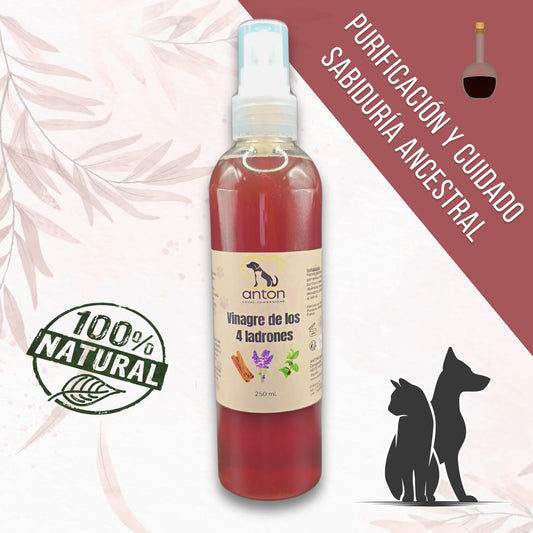 Botella de vinagre de los 4 ladrones ANTON para perros y gatos - cuidado purificante 100% natural con aceites esenciales