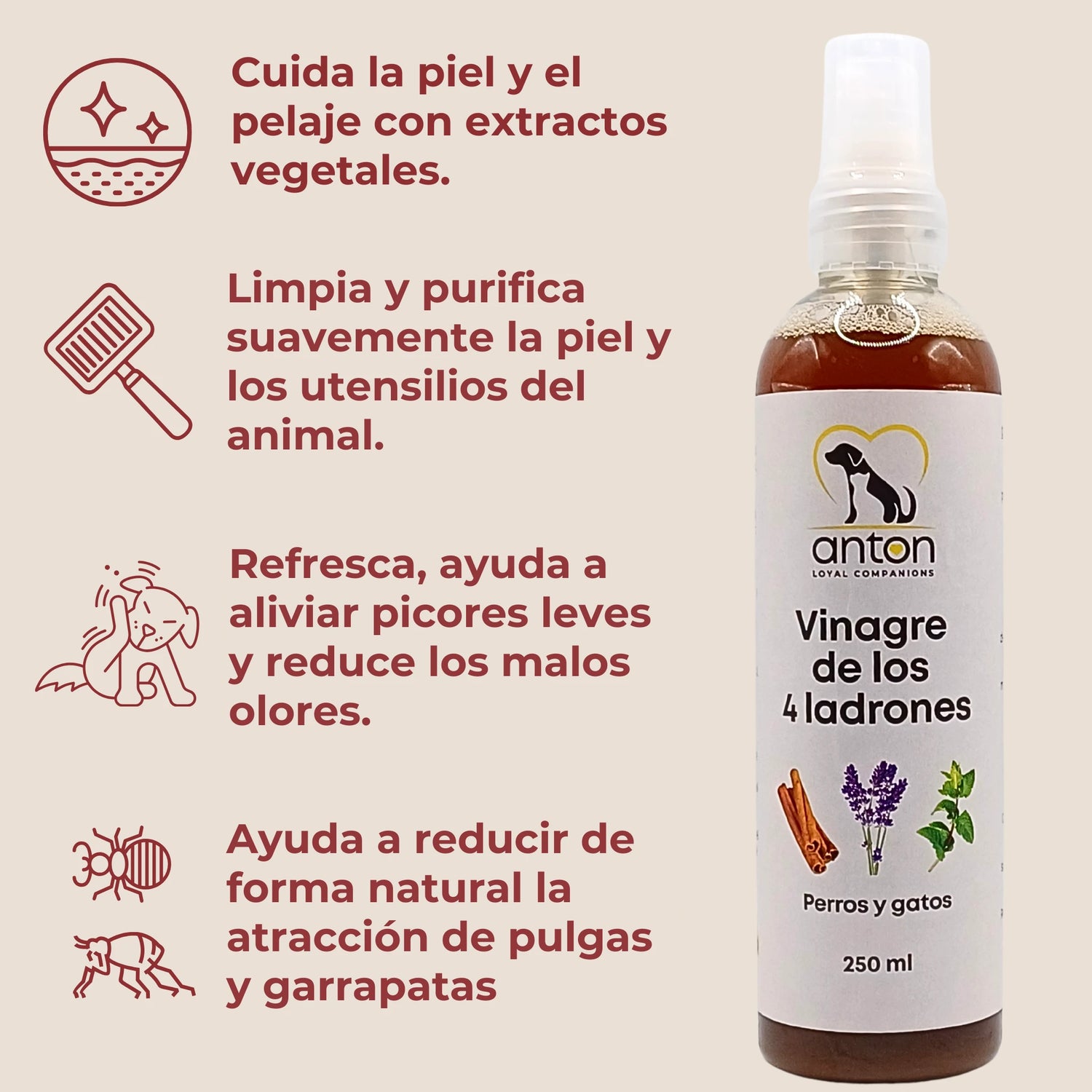 Vinagre de los 4 ladrones Anton Loyal Companions para perros y gatos, cuida la piel y el pelaje con extractos vegetales, limpia suavemente, refresca y ayuda a reducir de forma natural la atracción de pulgas y garrapatas.