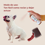 Aplicación del vinagre de los 4 ladrones Anton Loyal Companions en perro mediante pulverización, modo de uso sencillo para el cuidado externo del pelaje, rociar y dejar actuar.