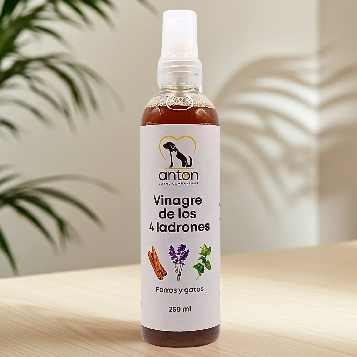 Vinagre de los 4 ladrones Anton Loyal Companions para perros y gatos, cuidado externo natural para piel y pelaje, uso diario, formato 250 ml.