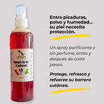 Vinagre natural ANTON de los 4 ladrones, protege la piel de pulgas y garrapatas, purifica y refuerza la barrera cutánea