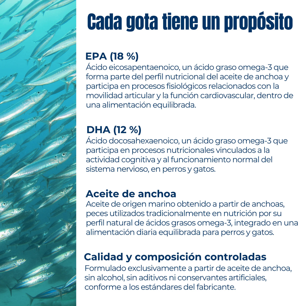 Infografía sobre la composición del aceite de anchoa Omega 3 ANTON para perros y gatos, con 18 % de EPA y 12 % de DHA.