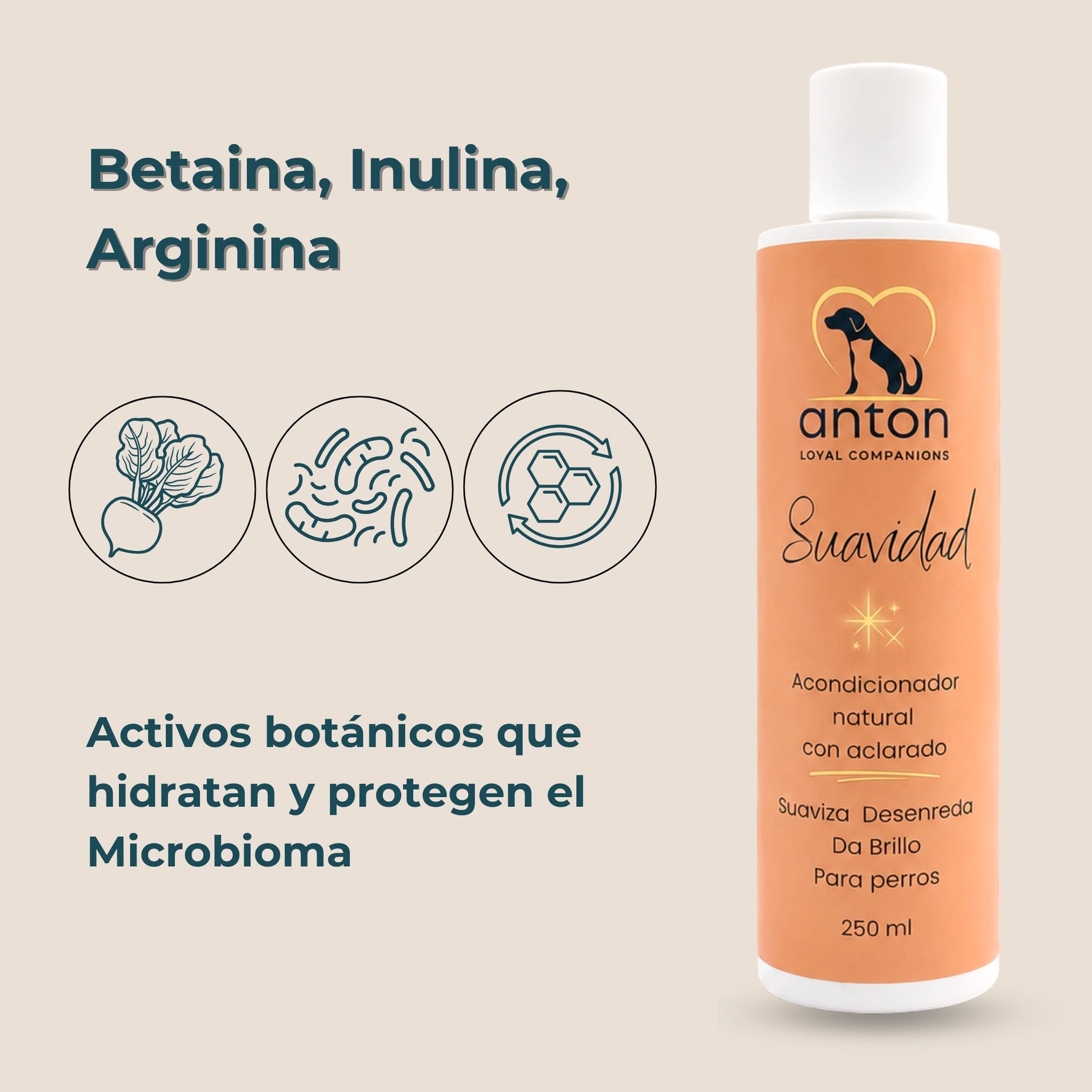 Acondicionador natural con aclarado Suavidad ANTON Loyal Companions para perros, 250 ml. Con betaína, inulina y arginina, activos botánicos que hidratan, fortalecen el pelaje y ayudan a proteger el equilibrio del microbioma cutáneo.