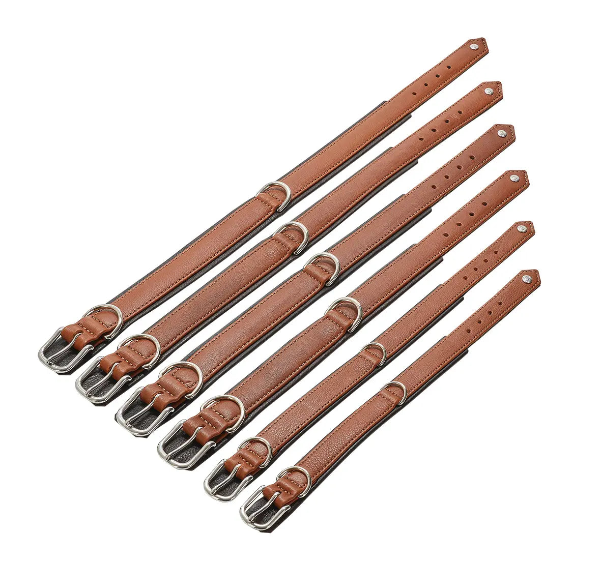Collares para perro de cuero color coñac AMICI Cognac disponibles en seis tallas, de XS a XXL