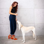 Perro blanco junto a su cuidadora con collar acolchado y correa de cuero color marfil AMICI Ivory