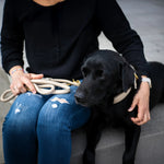 Perro negro junto a su cuidadora con collar acolchado y correa de cuero color marfil AMICI Ivory