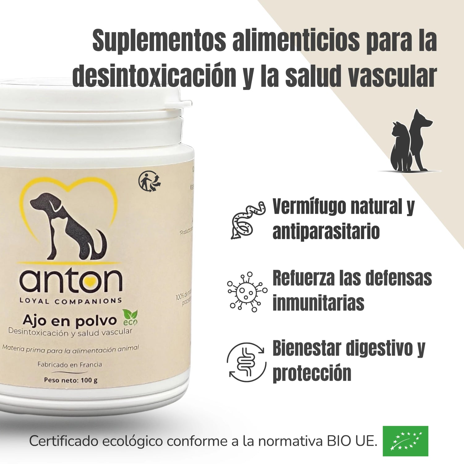 Beneficios del ajo en polvo ecológico ANTON – Vermífugo natural y salud digestiva