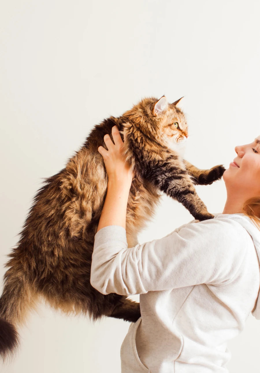 Suplemento natural  perros y gatos Coleccion Cuidado piel y pelaje Anton Loyal Companions