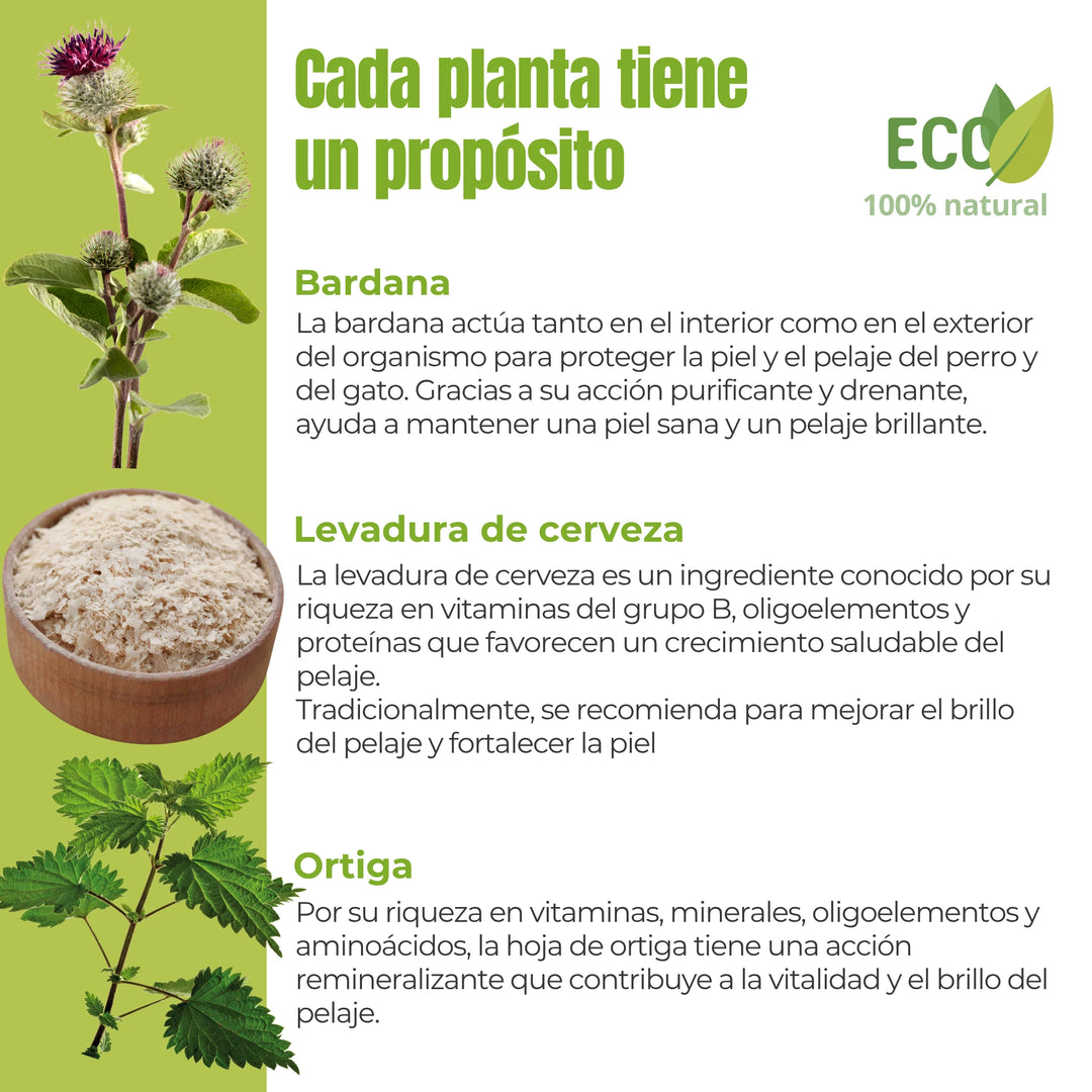 Ingredientes activos del suplemento Brillo del Pelaje – Bardana, levadura de cerveza y ortiga