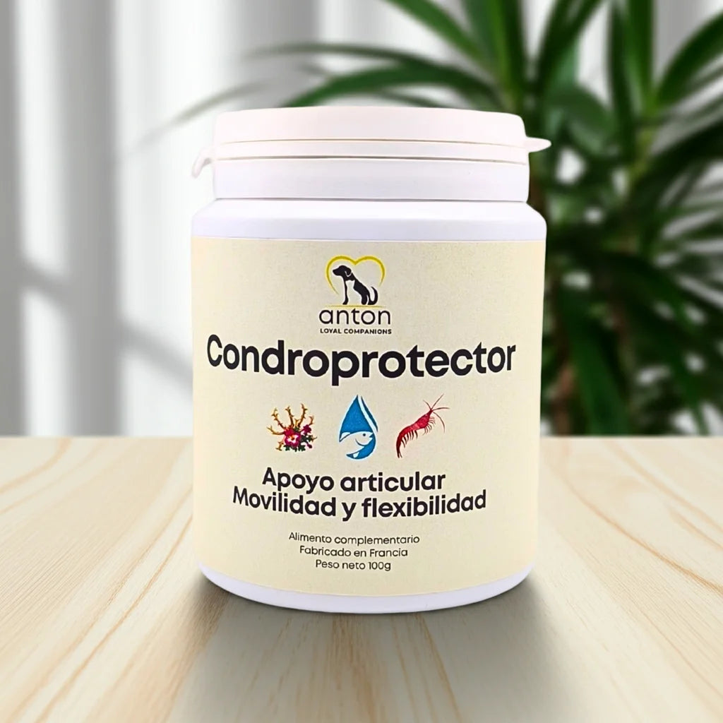 Bote de Condroprotector ANTON para apoyo articular, movilidad y flexibilidad en perros y gatos, 100 g