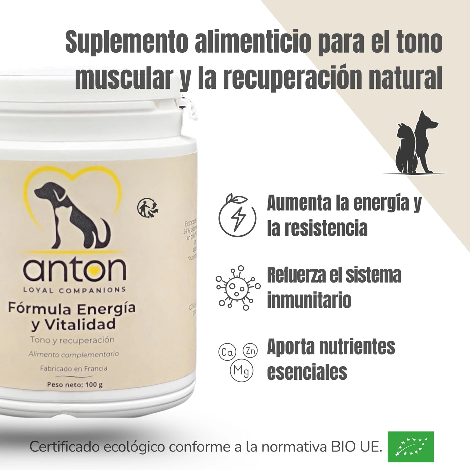 Beneficios del suplemento Energía y Vitalidad – Energía diaria, refuerzo inmunológico y nutrientes esenciales