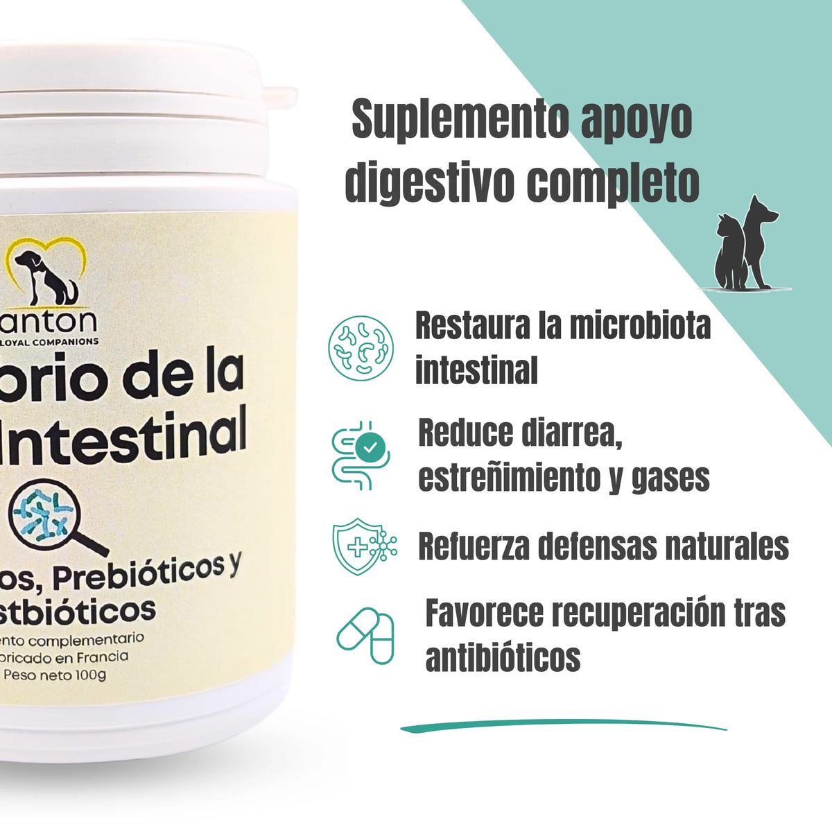 Suplemento Equilibrio de la Flora Intestinal ANTON, apoyo digestivo completo para microbiota, diarrea, estreñimiento y defensas