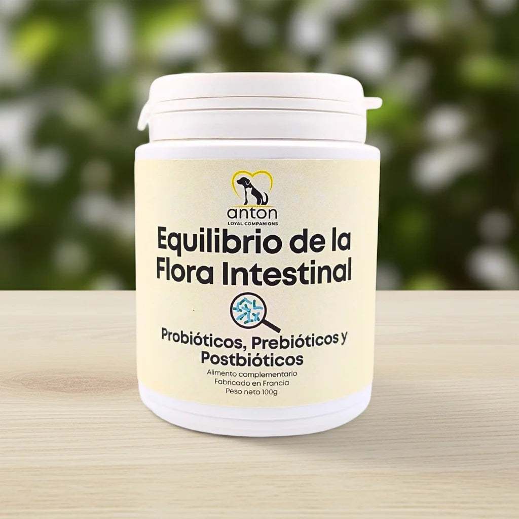 Bote de Equilibrio de la Flora Intestinal de ANTON con probióticos, prebióticos y postbióticos, 100 g