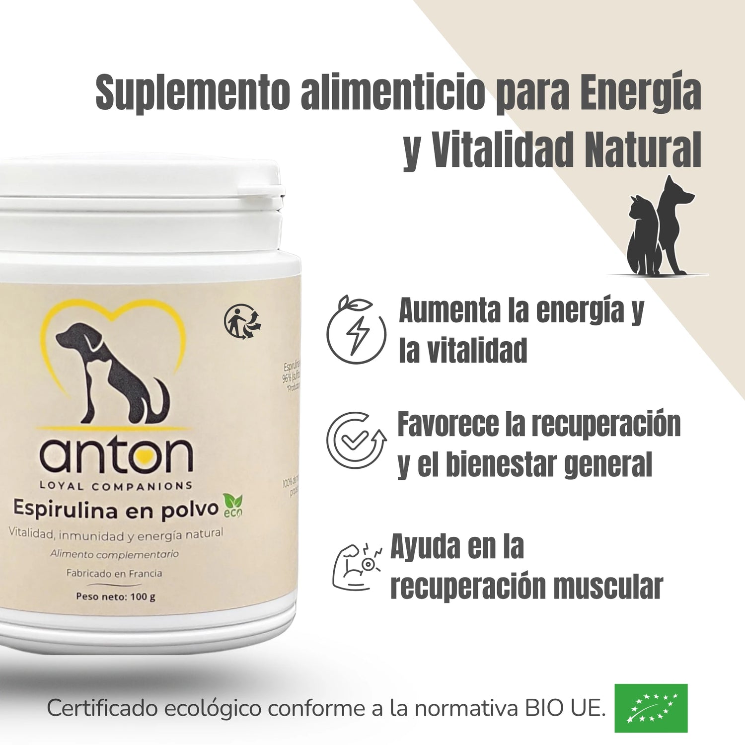 Beneficios del suplemento de Espirulina – Energía, recuperación muscular y bienestar general
