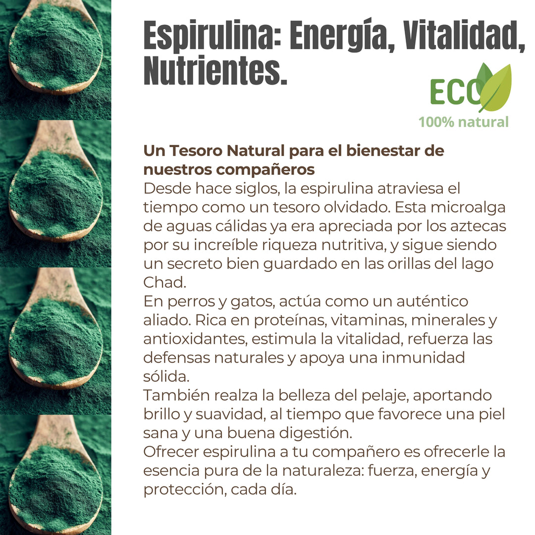 Propiedades de la Espirulina – Proteínas, vitaminas, minerales y antioxidantes naturales