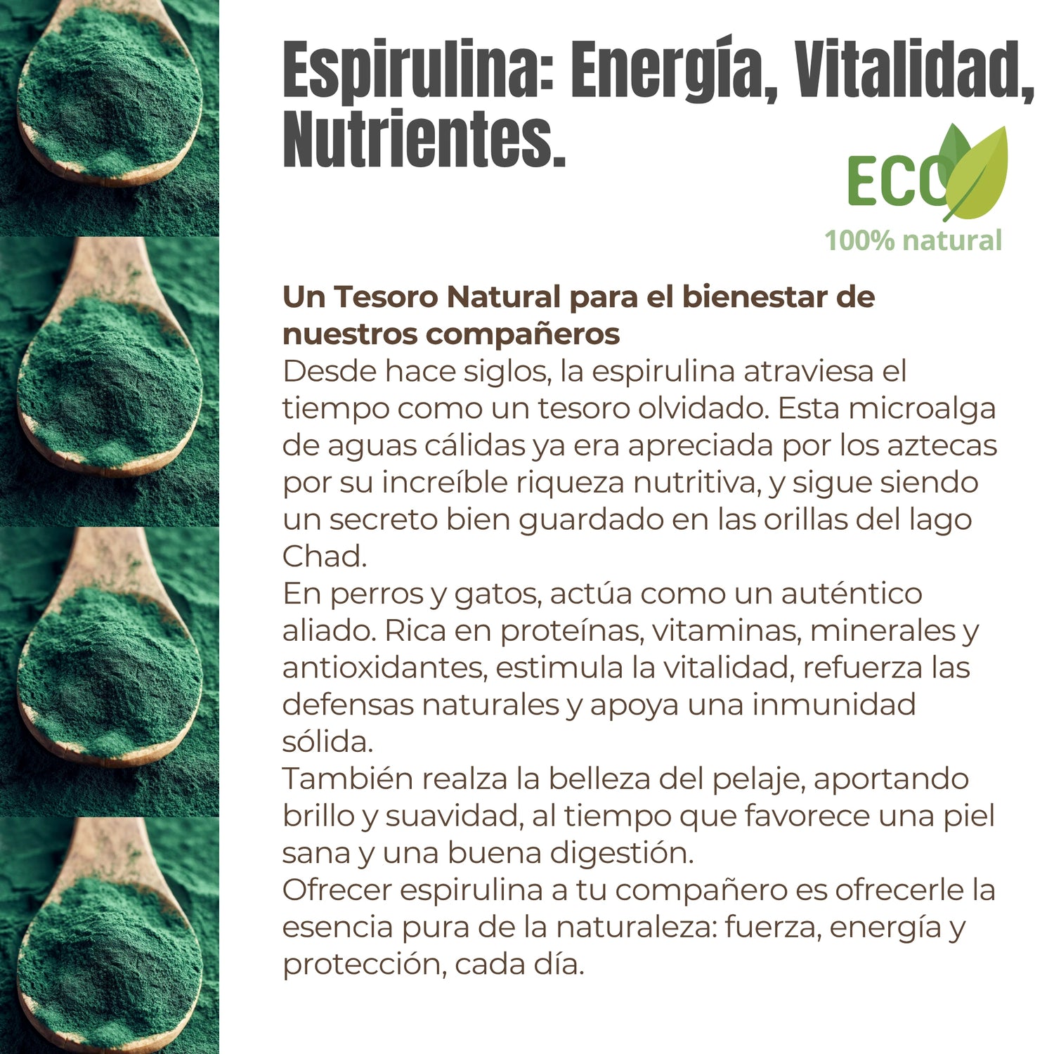 Propiedades de la Espirulina – Proteínas, vitaminas, minerales y antioxidantes naturales