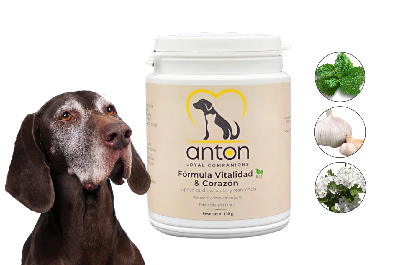 Suplemento natural  perros y gatos Vitalidad y Corazon Anton Loyal Companions