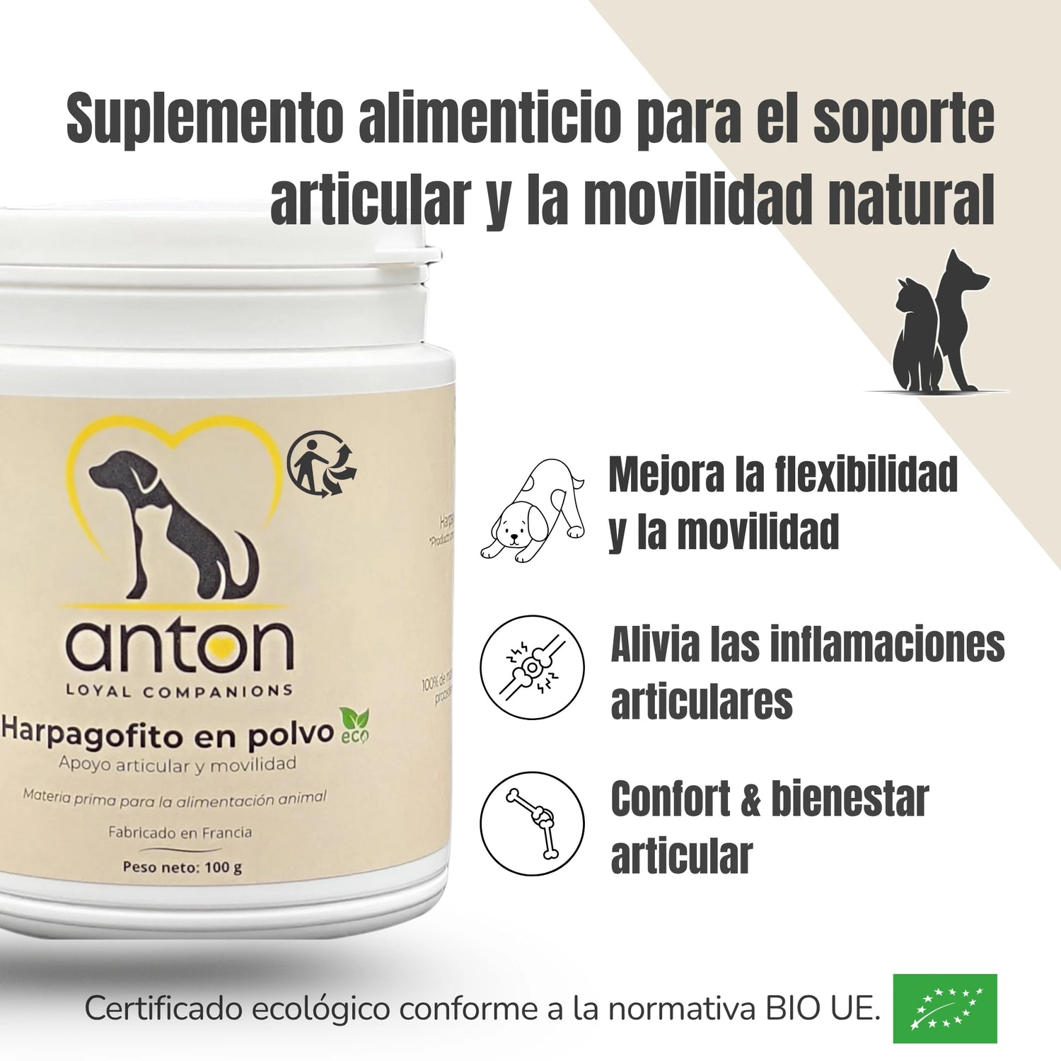 Beneficios del suplemento de Harpagofito – Movilidad, flexibilidad y alivio articular natural