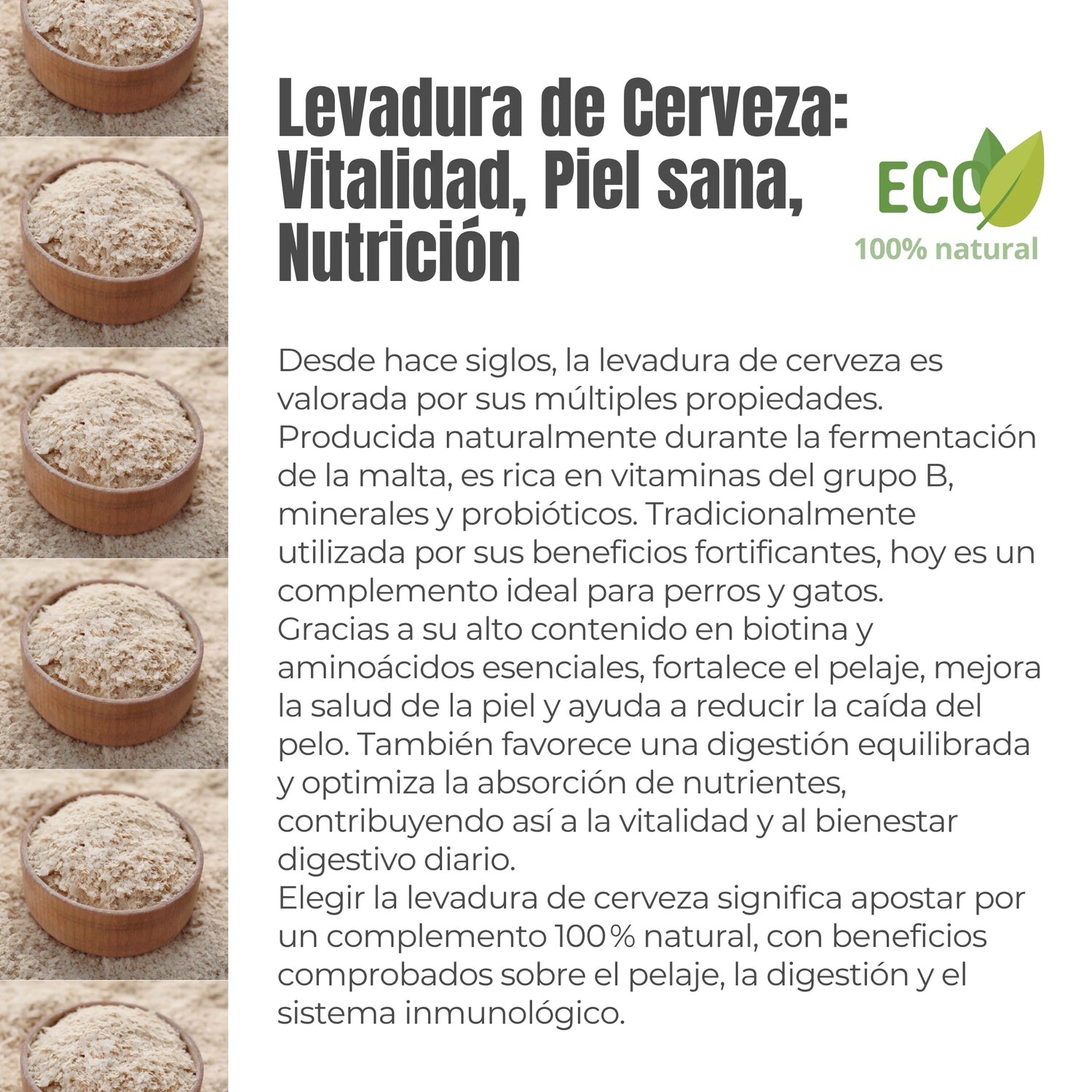 Levadura de cerveza ecológica en polvo: rica en biotina, vitaminas del grupo B, minerales y probióticos