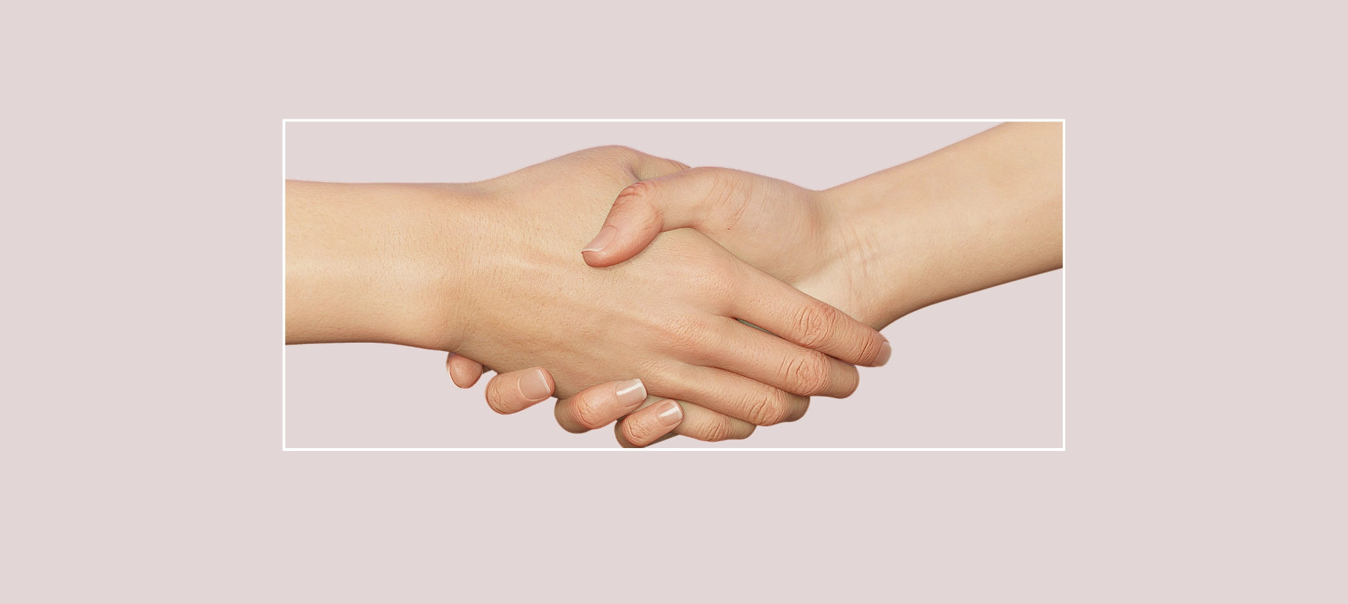 Colaboración B2B para distribución profesional de productos ANTON Loyal Companions