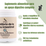 Suplemento natural para el equilibrio de la flora intestinal en perros y gatos ANTON Loyal Companions con probióticos, prebióticos y postbióticos que ayudan a reequilibrar la microbiota, mejorar el confort digestivo y apoyar las defensas naturales, fabricado en Francia.