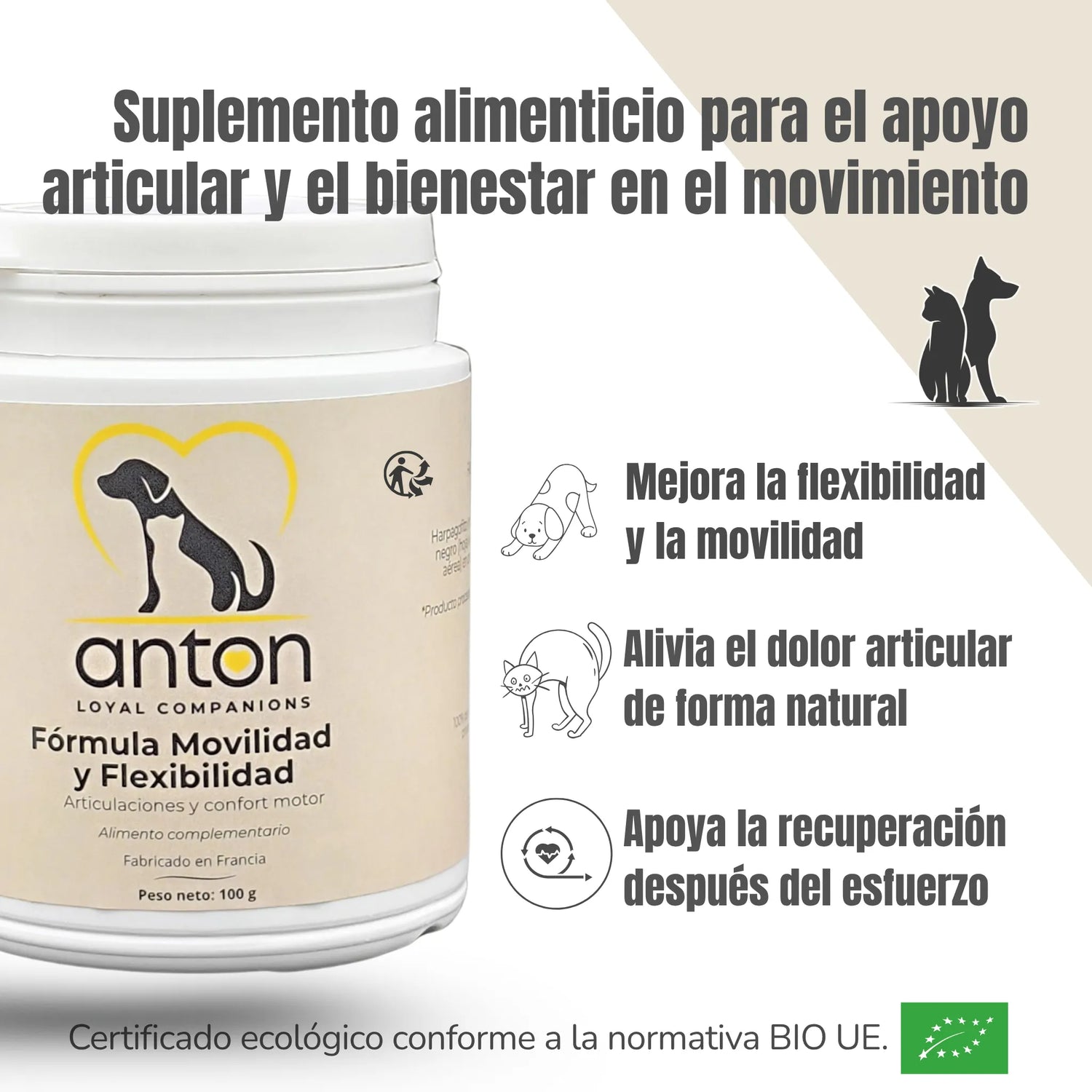 Beneficios del suplemento ANTON: mejora la movilidad, alivia el dolor articular y apoya la recuperación después del esfuerzo.