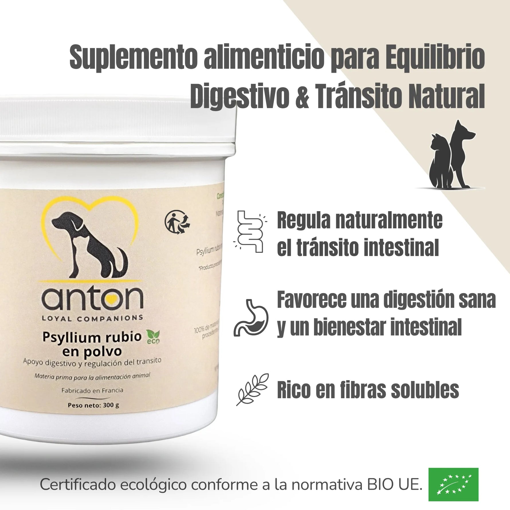 Beneficios del suplemento ANTON Psyllium: regula el tránsito intestinal y favorece una digestión sana y estable.