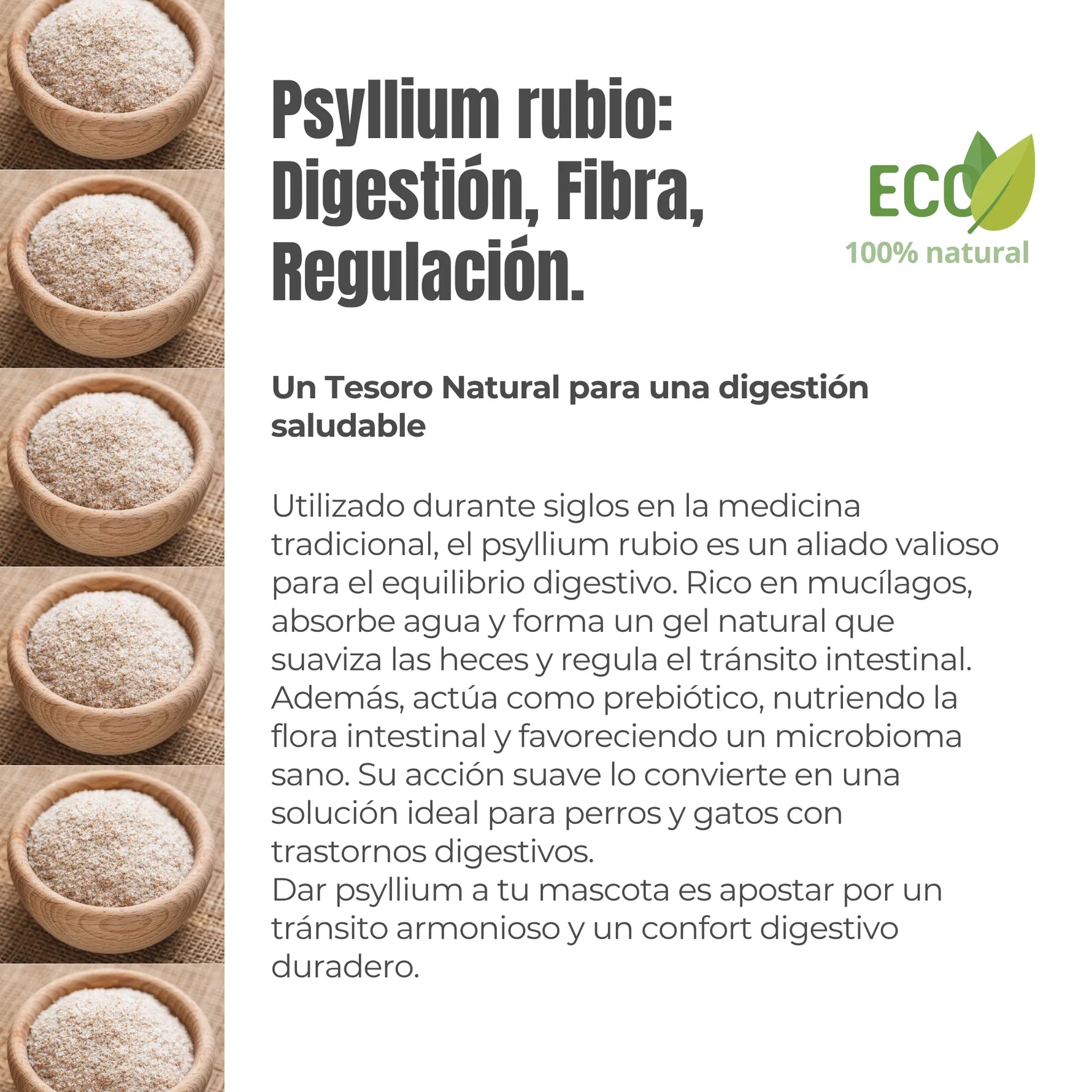 Descripción del Psyllium rubio: fibra natural rica en mucílagos, ideal para digestión y salud intestinal.