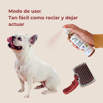 Modo de uso del vinagre de los 4 ladrones ANTON, aplicación en spray sobre el pelaje del perro